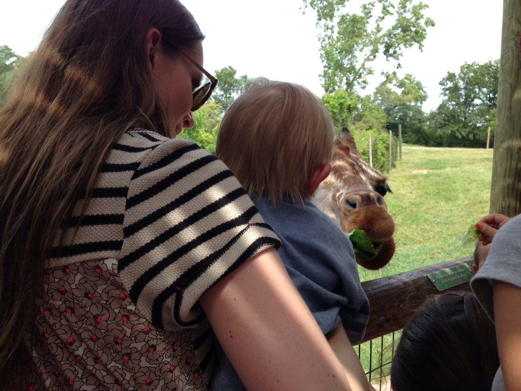 fort-wayne-childrens-zoo-giraffe.jpeg