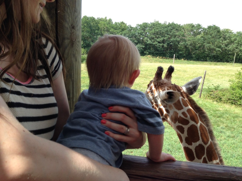 giraffe-love.jpeg